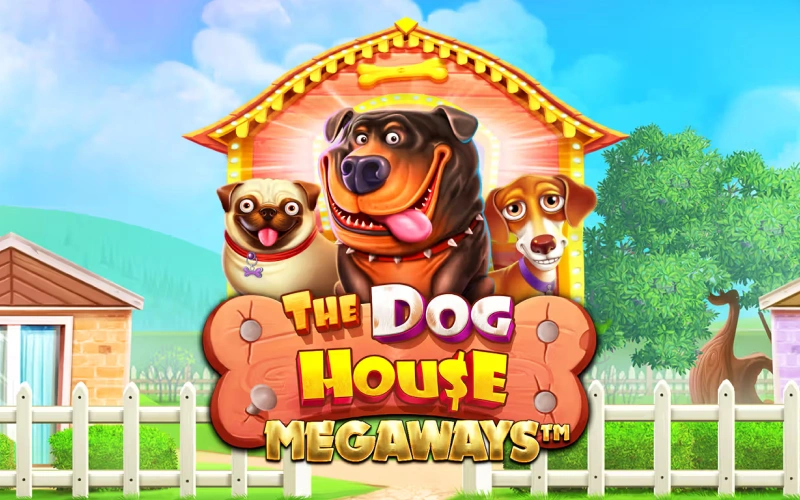 Ajoyib itlar mavzusidagi The Dog House Megaways slotini Pinco kazinosida oʻynang.
