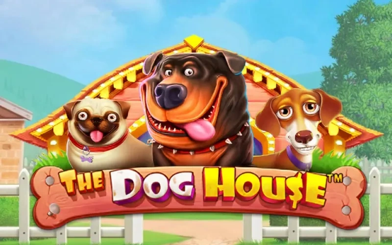 Xushchaqchaq itlar jamlangan The Dog House slotini Pinco platformasida tanlang.