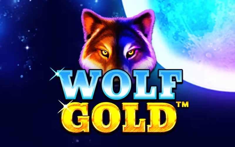 Yirtqich boʻrilar mavzusidagi qiziqarli Wolf Gold slotini Pinco kazinosida sinang.